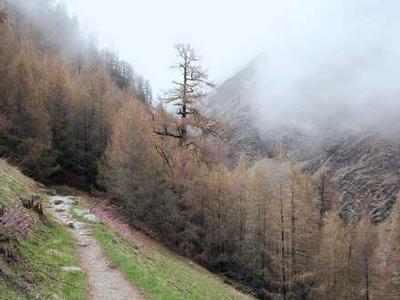 
        Recriminations over Iran have heightened the risk of a break-up of NATO
      