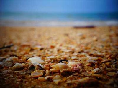 The Birth of Espresso: The Story Behind the Coffee Shots That Fuel Modern Life