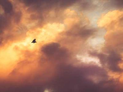 Hear Aldous Huxley Read Brave New World. Plus 84 Classic Radio Dramas from CBS Radio Workshop (1956–57)