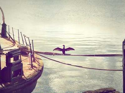 Trevor Noah Explains How Kintsugi, the Japanese Art of Repairing Pottery, Helped Him Overcome Life’s Tragedies