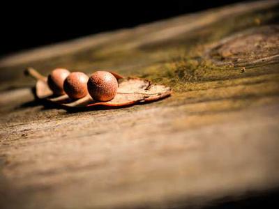 
        The Epstein files tell a story of justice denied
      