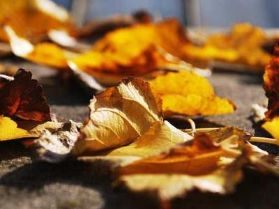 Trevor Noah Explains How Kintsugi, the Japanese Art of Repairing Pottery, Helped Him Overcome Life’s Tragedies