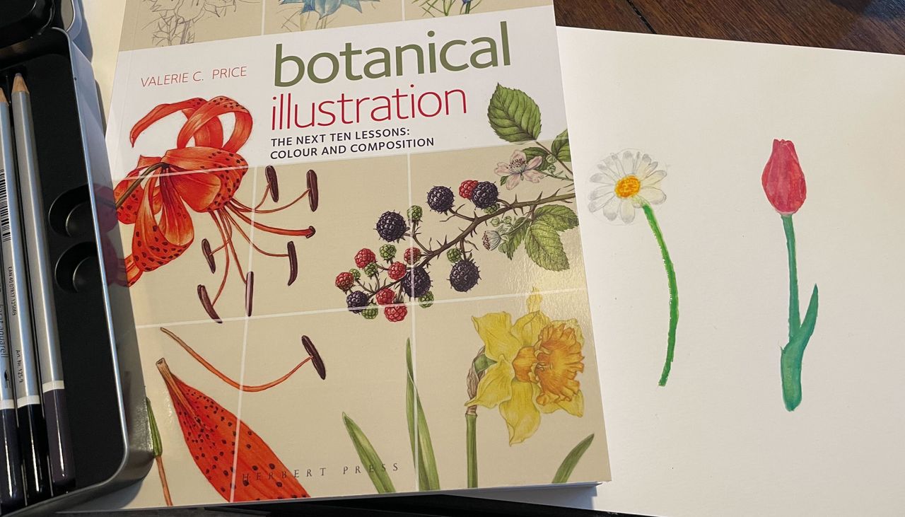  I tried botanical illustration for the first time, here's how it went 