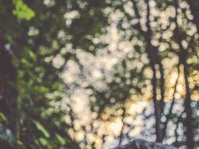 
        How Fox News is luring in Gen Z
      