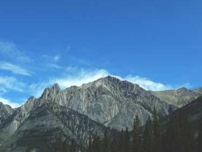 When Two Filmmakers Make the Same Movie — and One of Them Is Werner Herzog