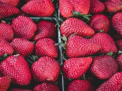 Thomas Jefferson’s Handwritten Vanilla Ice Cream Recipe