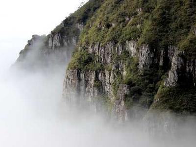 Pres. Authorized Leak