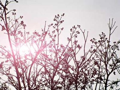 Leo Tolstoy Calls Shakespeare an ‘Insignificant, Inartistic Writer.’ Then George Orwell Fires Back