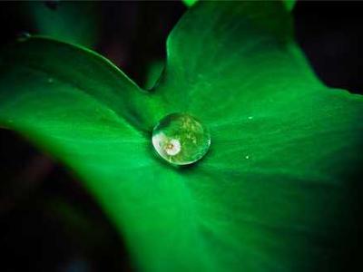 This Netflix holiday rom-com is secretly an environmentalist fantasy