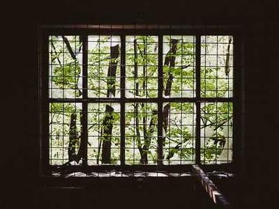 Ski resorts are increasingly reliant on snowmaking. But at what cost?