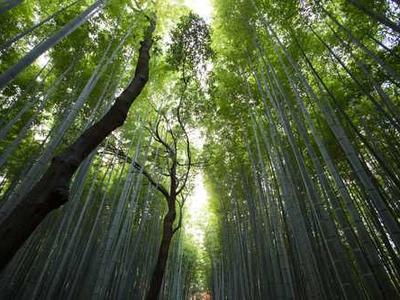 Dictionary of the Oldest Written Language–It Took 90 Years to Complete, and It’s Now Free Online