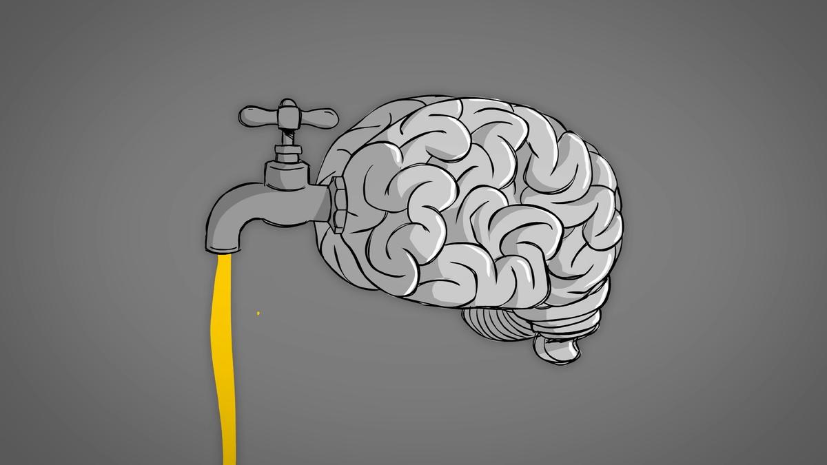 Should knowledge be free?