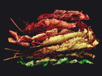 
        Don’t welcome Africa’s newest despot
      