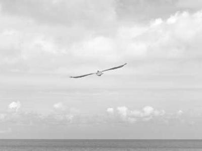 
        A world-changing war: four years in Ukraine
      