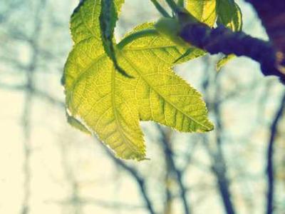 
        Central America’s biggest city is eternally snarled with traffic
      