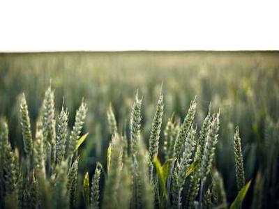 These data center developers asked Trump for an exemption from pollution rules