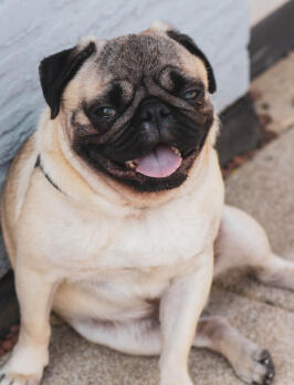 Ryan Turner