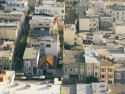 The beautiful Venetian plant with a secret climate superpower