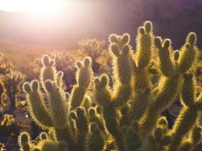 Ugandan farmers use British court to try to stop East Africa oil pipeline