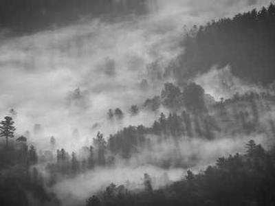Darfur Protestors Arrested, Including Congressmen