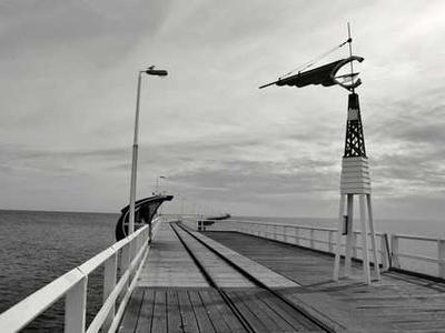 Mutant Grass taking over Portland