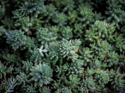 Bush Still Confused On Why We Invaded Iraq