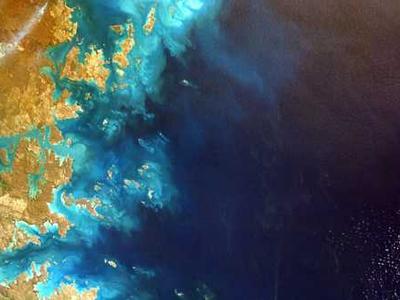 The Greek Mythology Family Tree: A Visual Guide Shows How Zeus, Athena, and the Ancient Gods Are Related