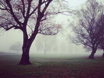 
        Some thoughts on prohibition
      