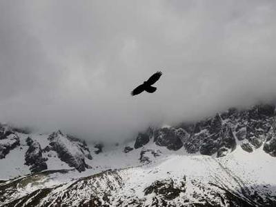 A hotter, wetter South is becoming a breeding ground for mold