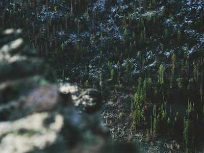 University of Nebraska is eliminating a key climate research department