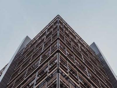 Darfur Protestors Arrested, Including Congressmen