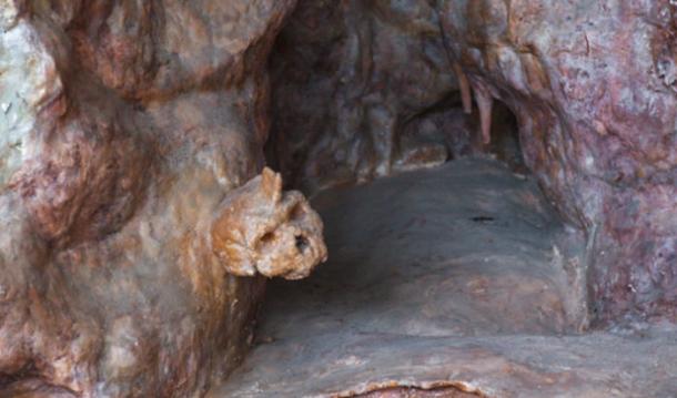 Skull that ‘Challenged Out of Africa Theory’ Re-dated – Does this End the Debate?