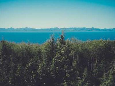 Nigerians bet on solar as global oil shock hits wallets and power supplies