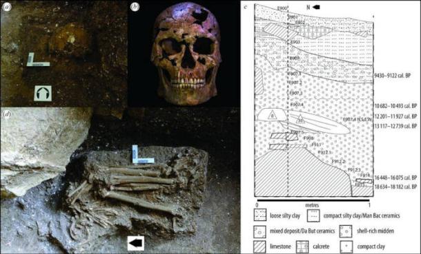 Vietnamese Cave Yields Southeast Asia's Earliest Evidence of Violence